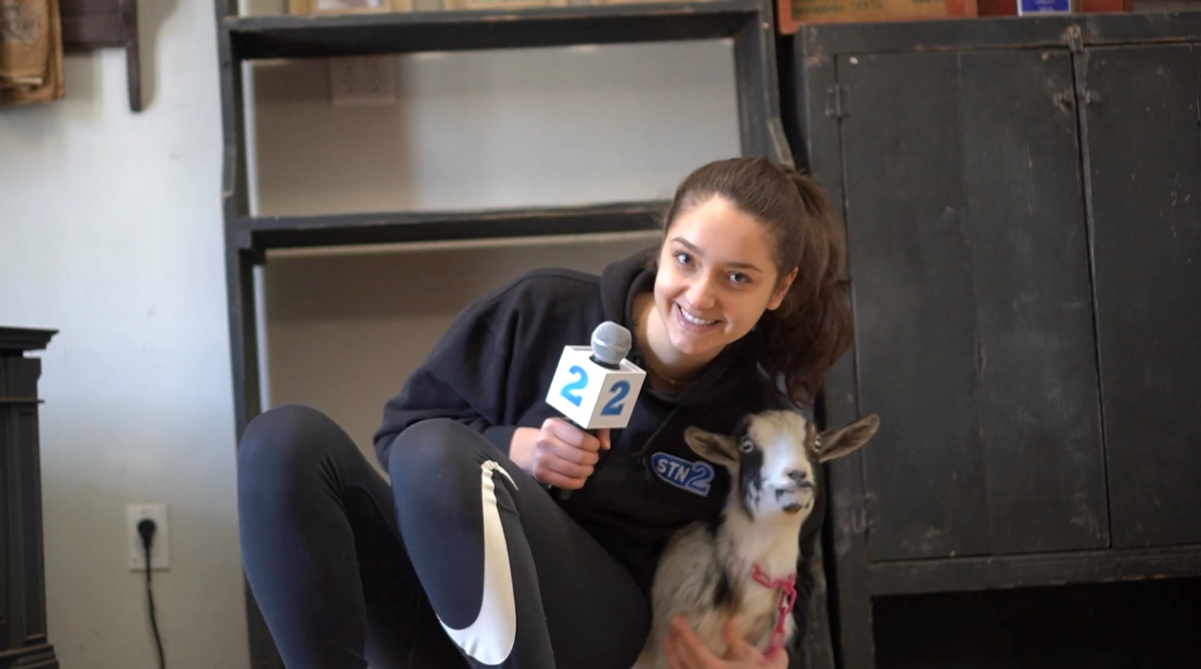 Goat Yoga at Bradley Mountain Farm