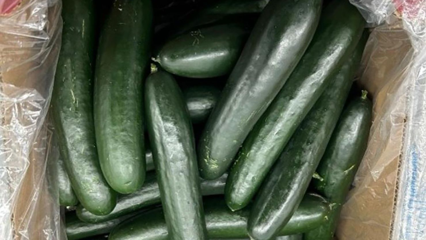 Recall on Cucumber Seemingly Linked to Salmonella Outbreak